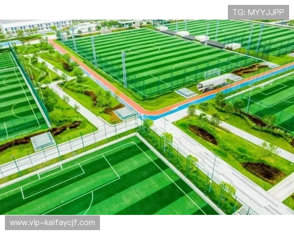 凯发体育平台官网官方入口确保用户安全畅享体育娱乐新体验