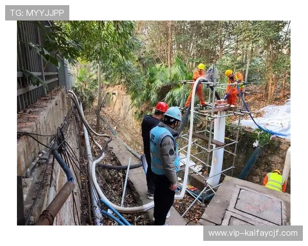 K8体育登录登录线路故障排查与快速修复的实用经验